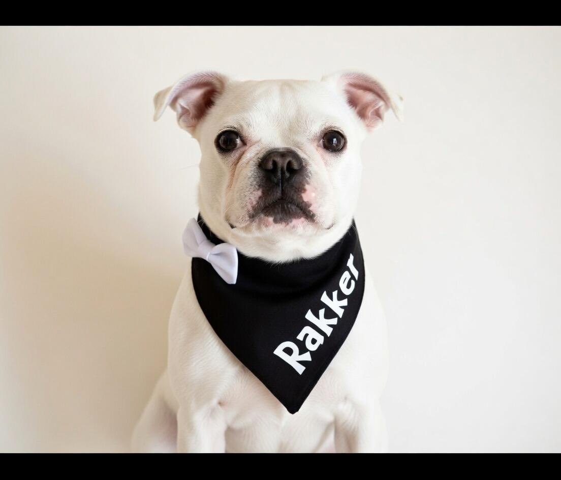 Feestelijke bandana