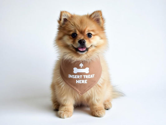 Insert treat here